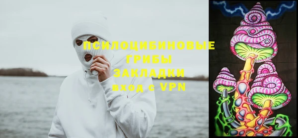 2c-b Покровск