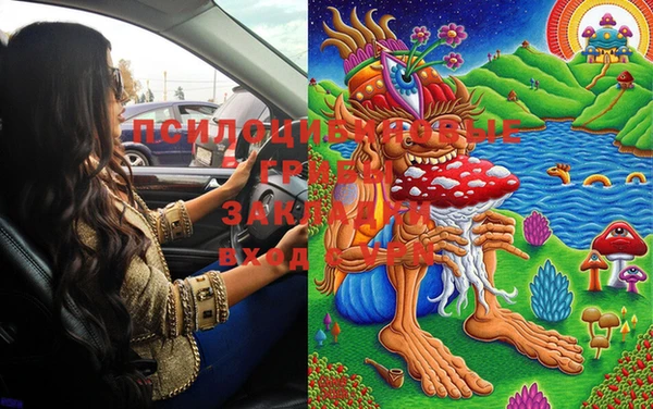 2c-b Покровск